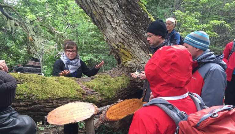 Dr. Lily Lewis talks about bryophytes with people gathered around a mossy tree in southern Chile.